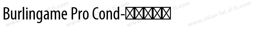 Burlingame Pro Cond字体转换